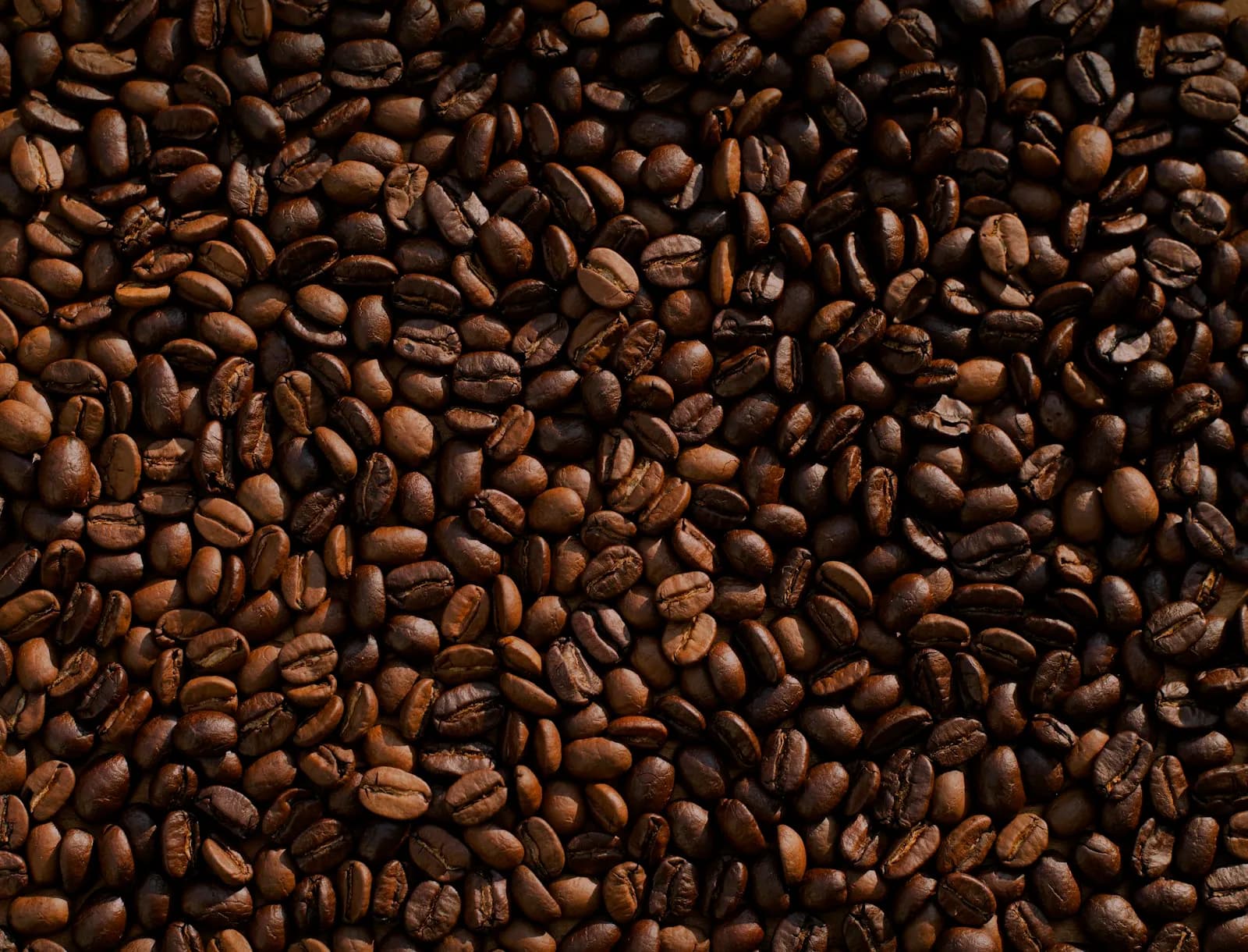 Origen del Café: De la Finca a Tu Taza